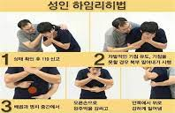 성인 하이리히법