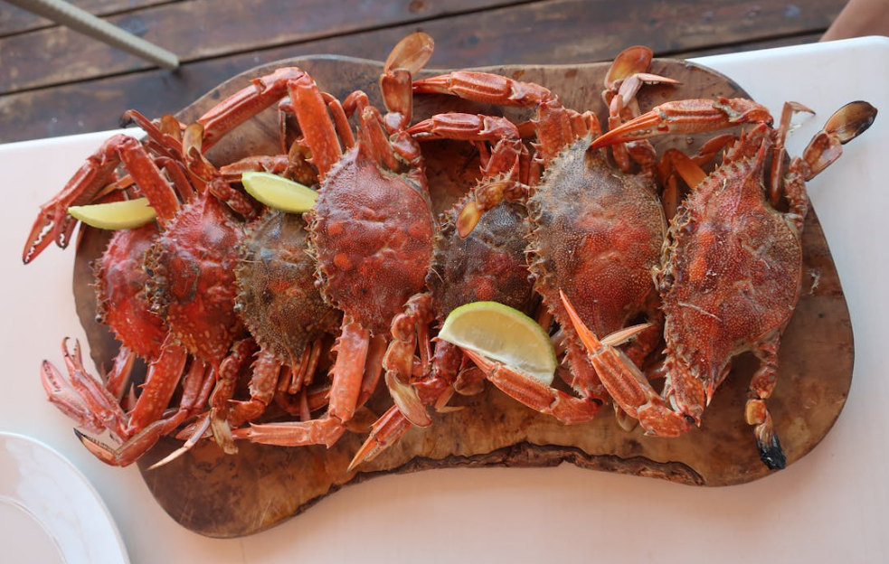 꽃게 찌는 시간 방법