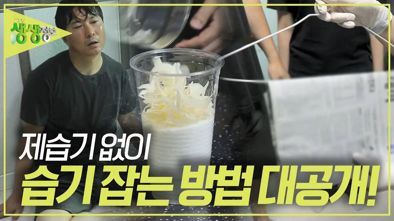 제습기 없이 습기 제거 끝 숯 염화칼슘 등 천연 제습제 활용법 완벽 가이드_4