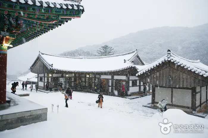 대흥사