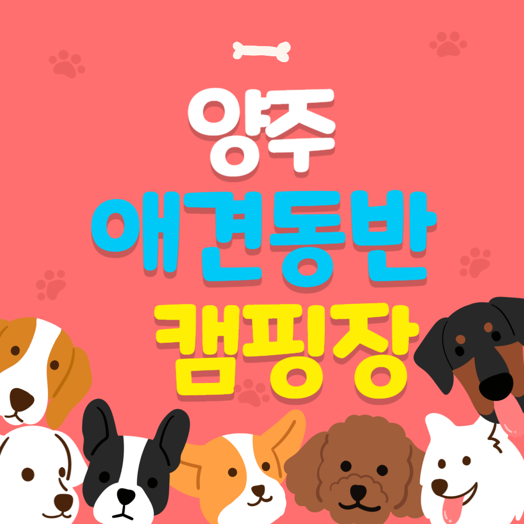 양주 애견동반 캠핑장