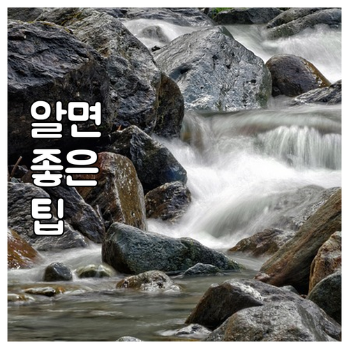 2025 안성 과수농가 소득 올릴 기..