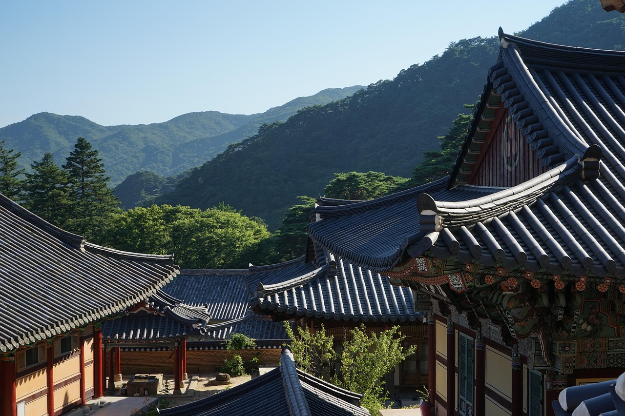합천 여행 관련 사진