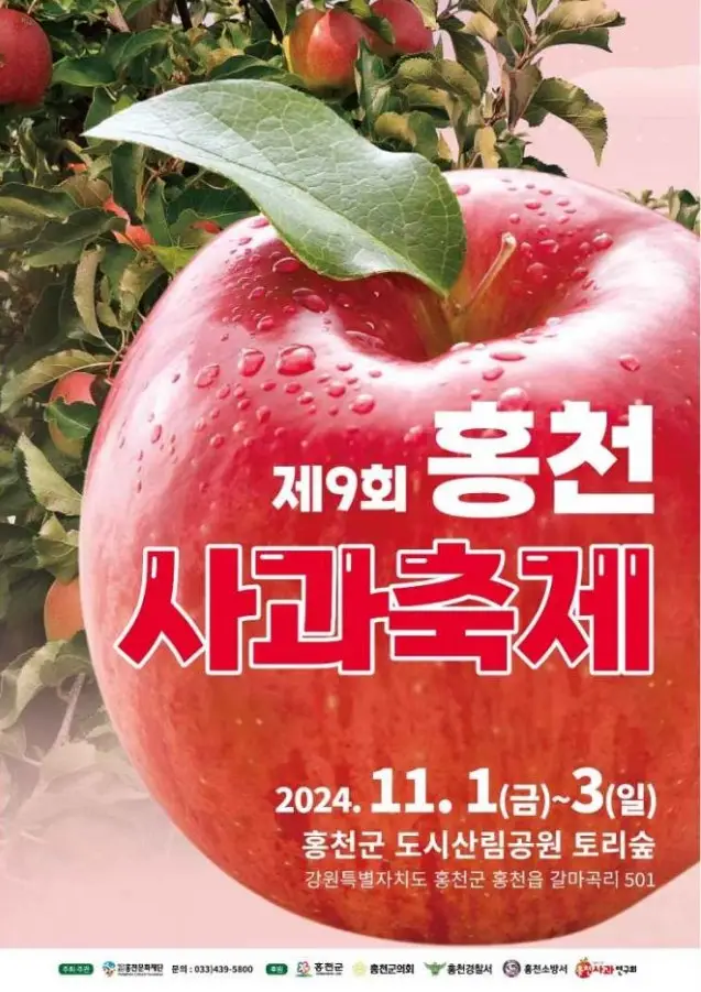 홍천사과축제