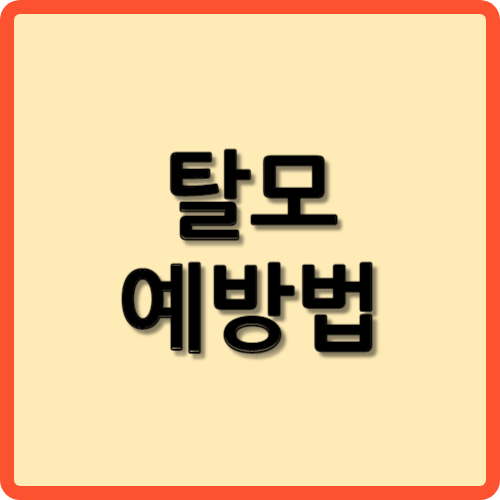 탈모예방법
