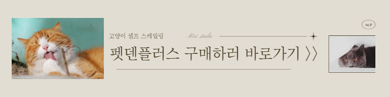 펫덴플러스