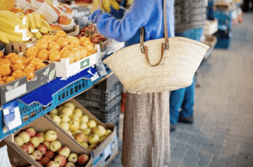 민생회복 소비쿠폰 강원도 신청방법