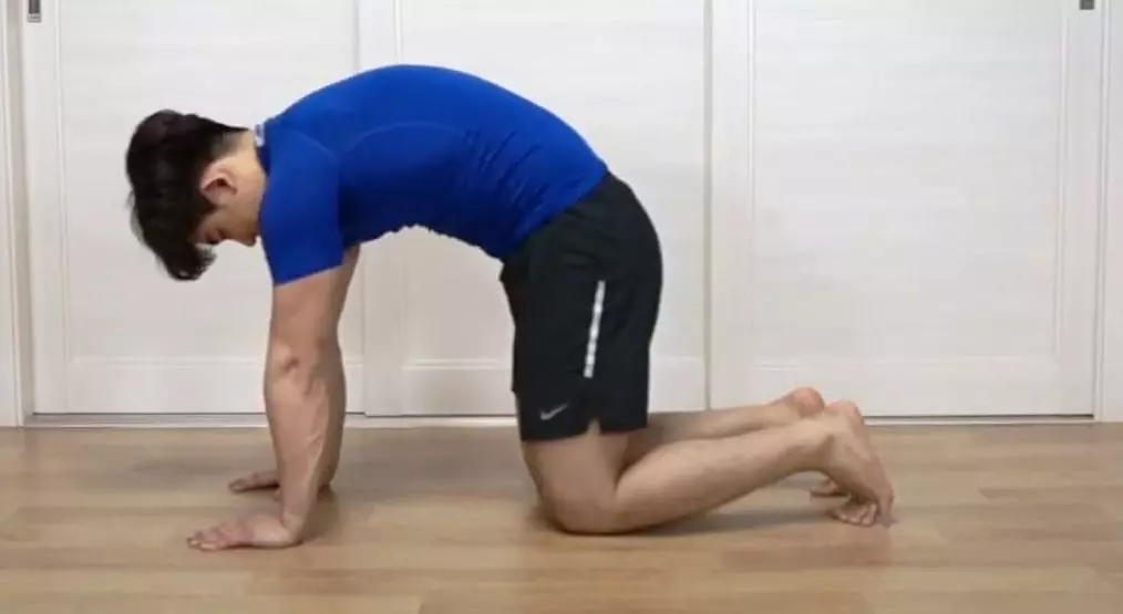 캣카우 스트레치 자세2