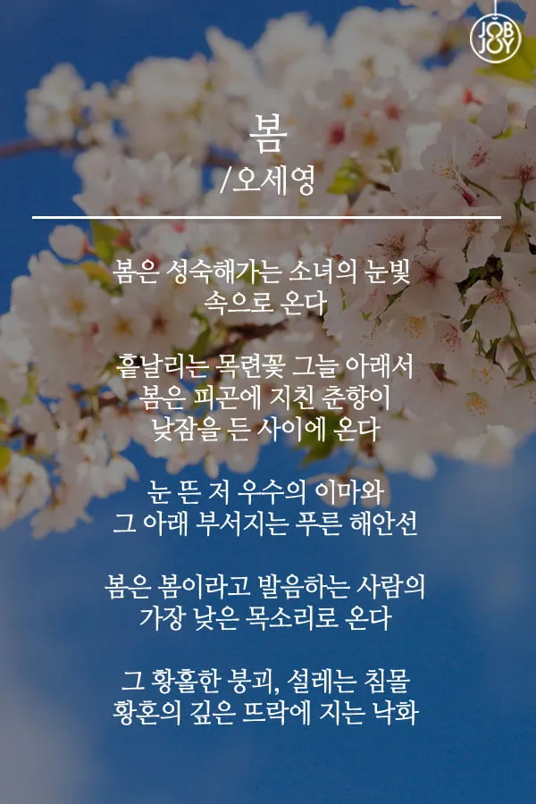 봄 시 모음 이해인 나태주 명시 모음_6