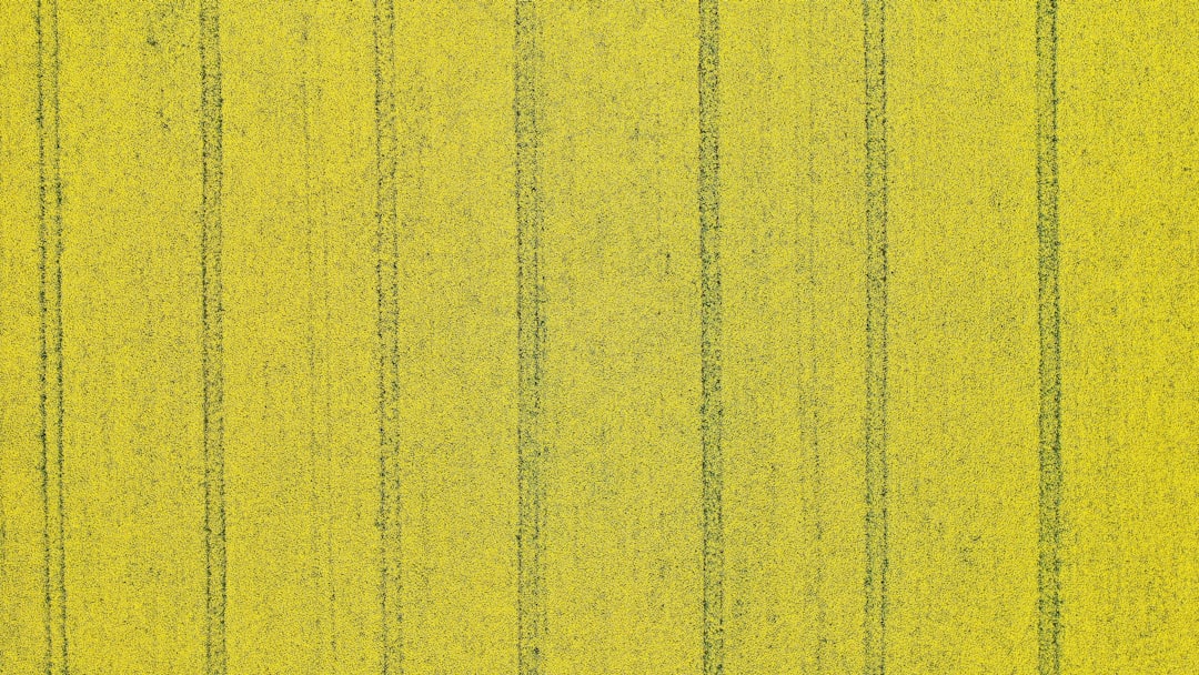 Yellow Envelope Law
