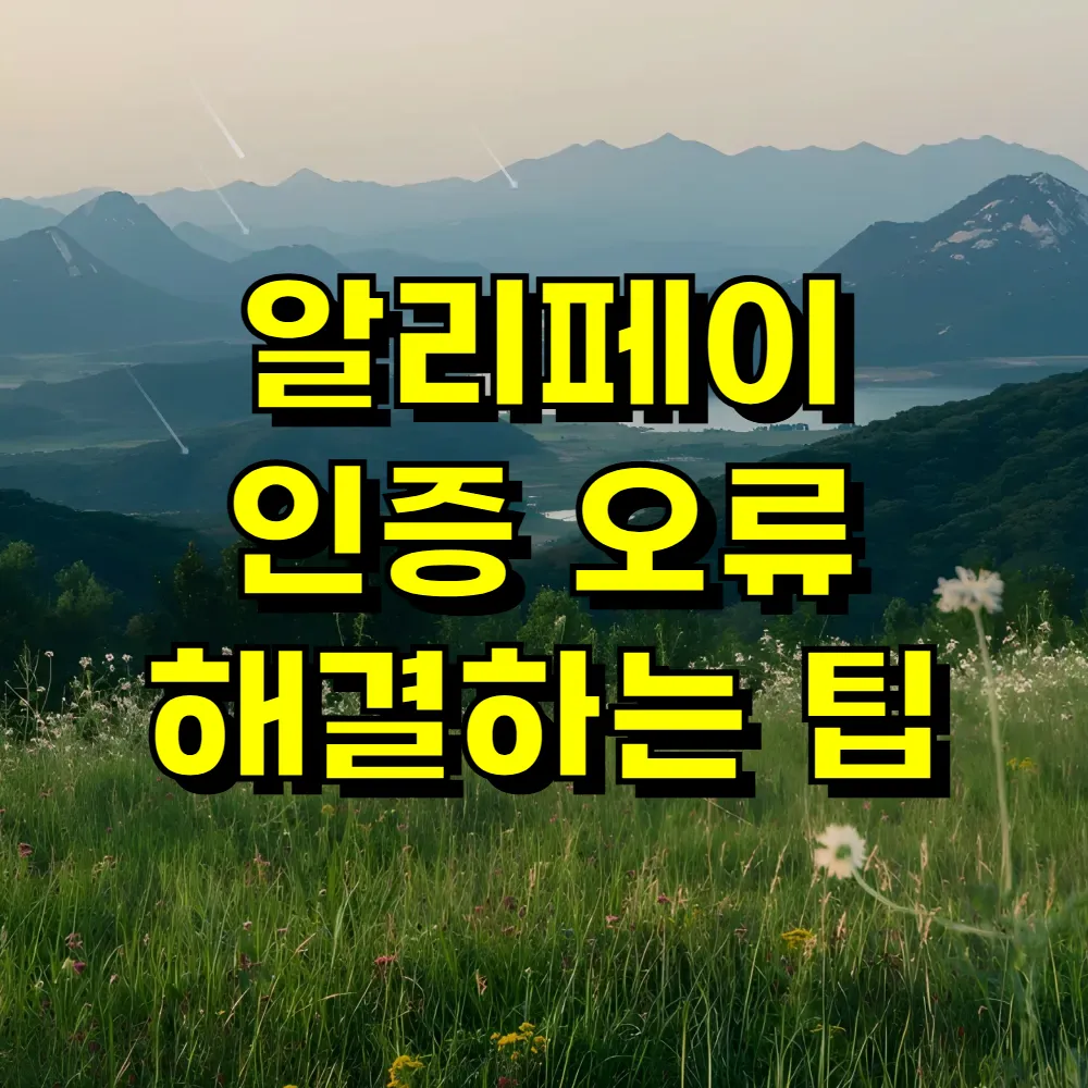 알리페이 인증 오류 해결하는 팁