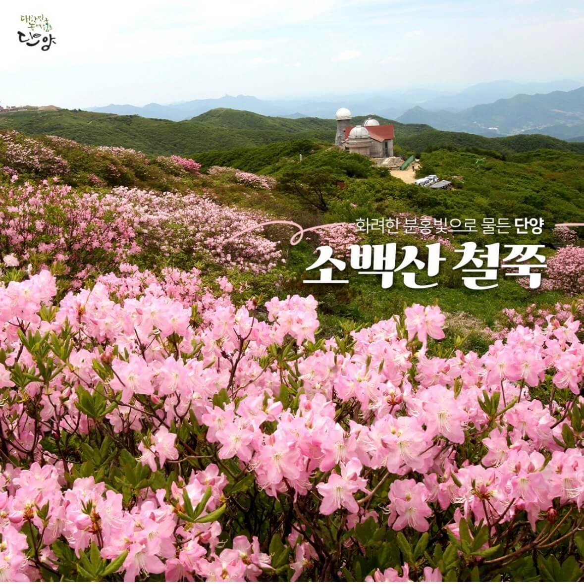 소백산 등산코스