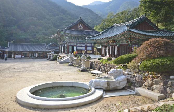 용문산 용문사 이미지