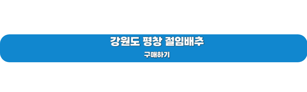 김장철 절임배추