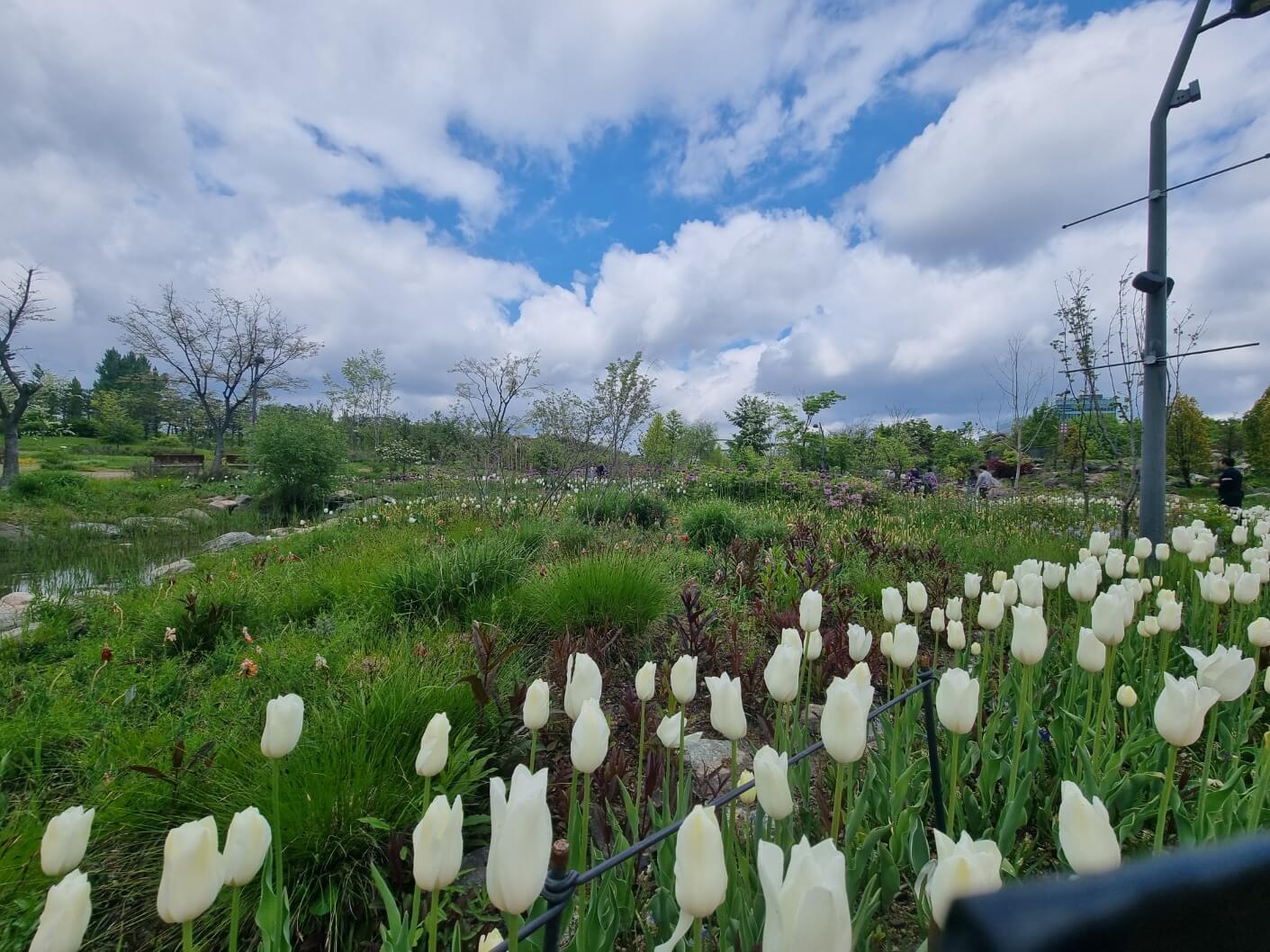 서울식물원 입장료