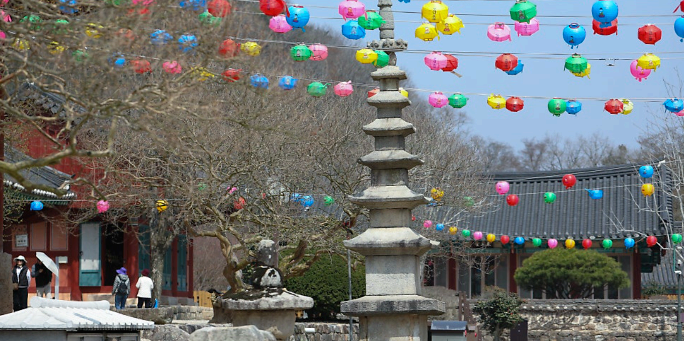 [4월 축제]사계절의 모습이 다 아름다운 고창 선운사❘동백꽃, 홍매화 사진 이벤트