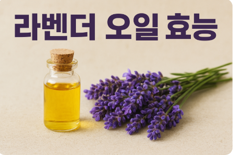 라벤더 오일 효능