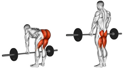 olympic barbell rdl pause / 올림픽 바벨 루마니안 데드리프트 포즈 동작 설명