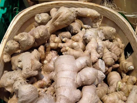 생강 심혈관 건강 보호