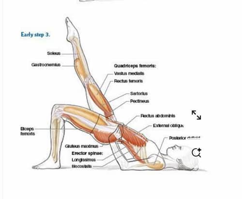 The Shoulder Bridge (숄더 브릿지)