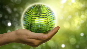 환경을 생각하는 생활용품 추천