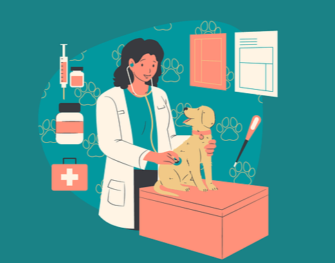 검은머리 여의사가 갈색 강아지를 상자에 올려서 진찰하고 있다.