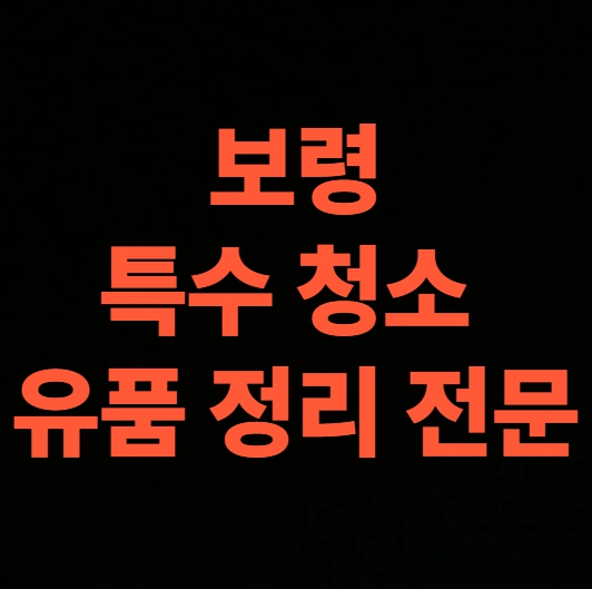 보령 고독사청소