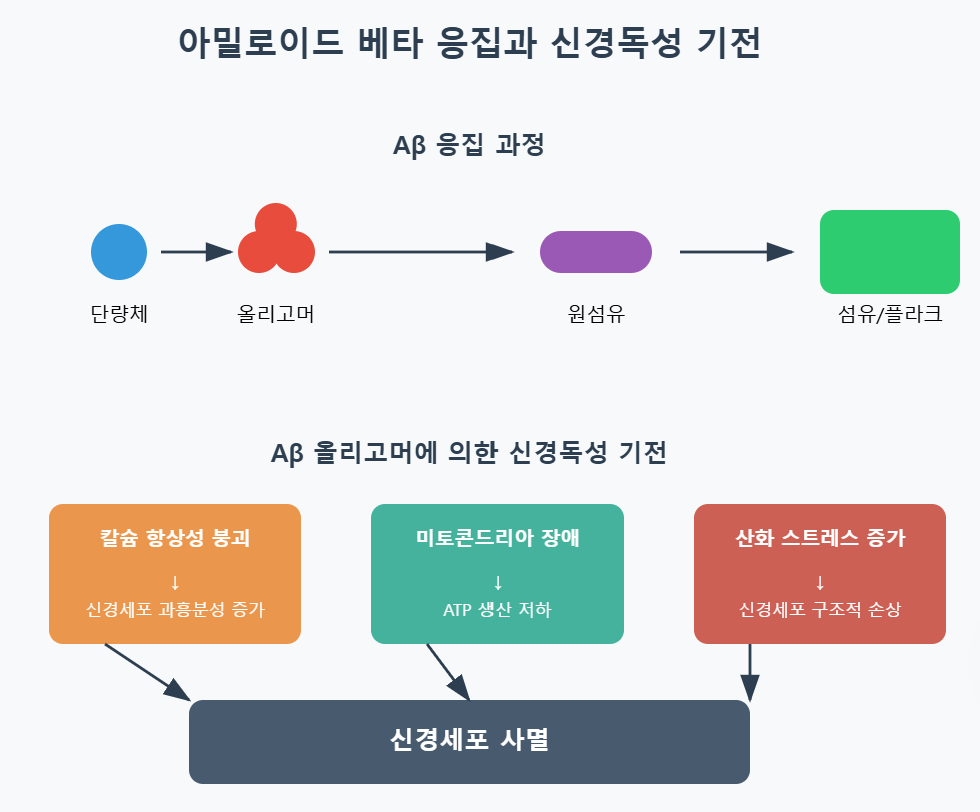알츠하이머병의 분자적 기전 및 아밀로이드 베타 축적