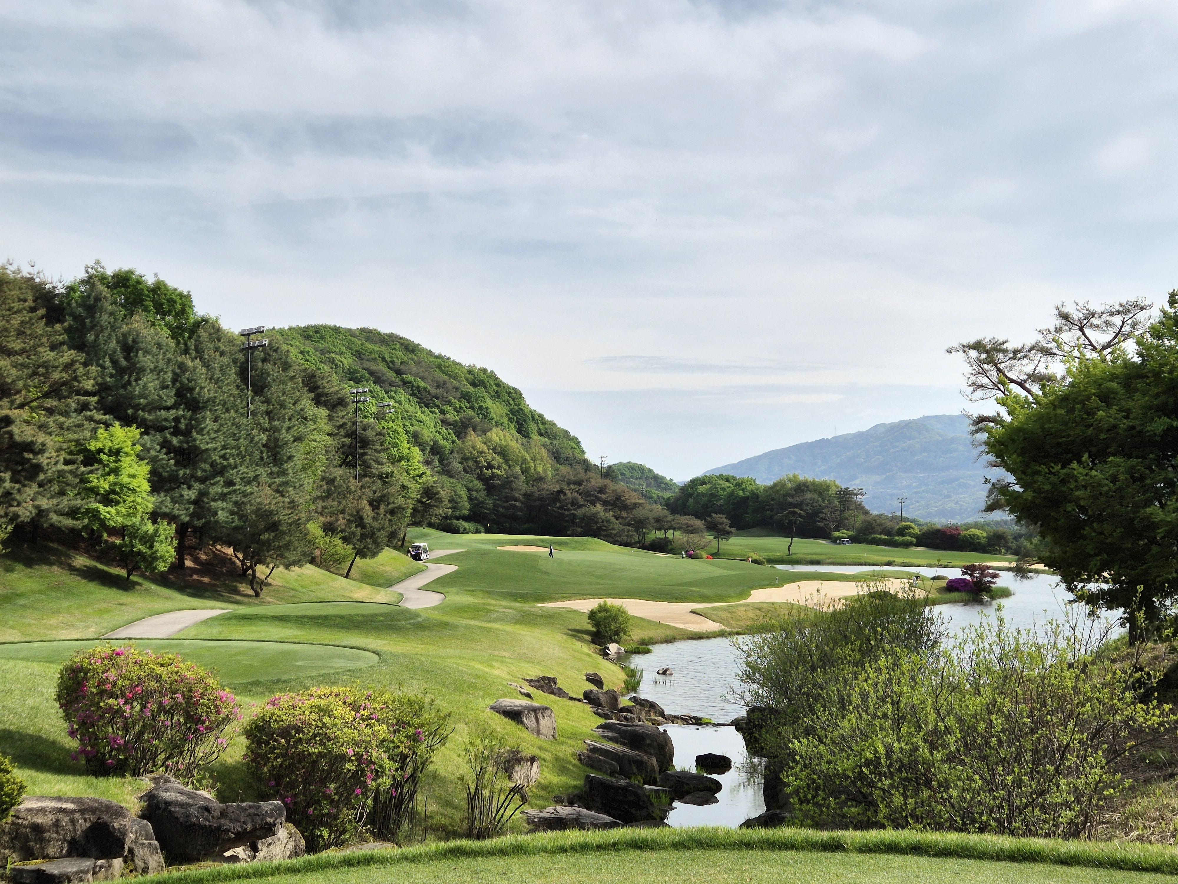 베어크리크cc 크리크코스