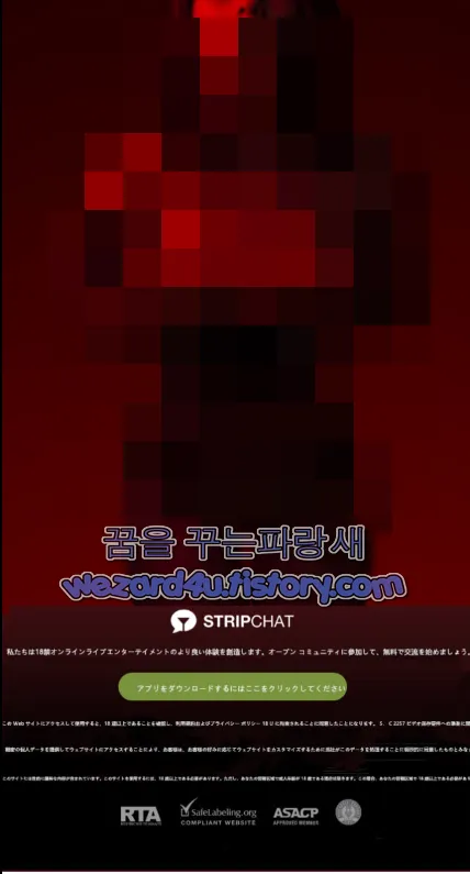 사이트 메인 화면