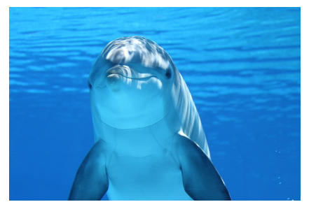 바다와 함께하는 지속 가능한 여행: 해양 보호구역 여행지