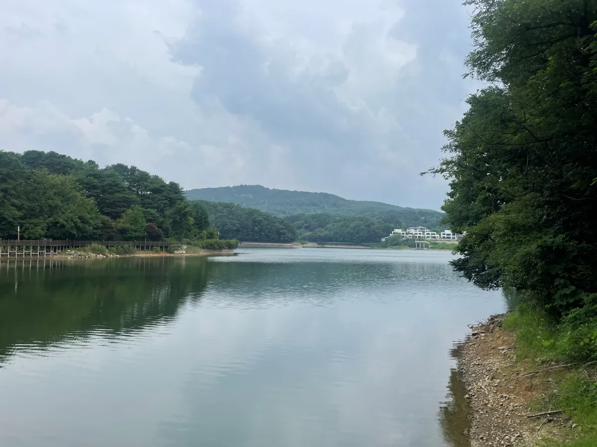 포천-국립수목원-근처-데크길에서-산책하기-좋은-고모리호수공원,-고모저수지