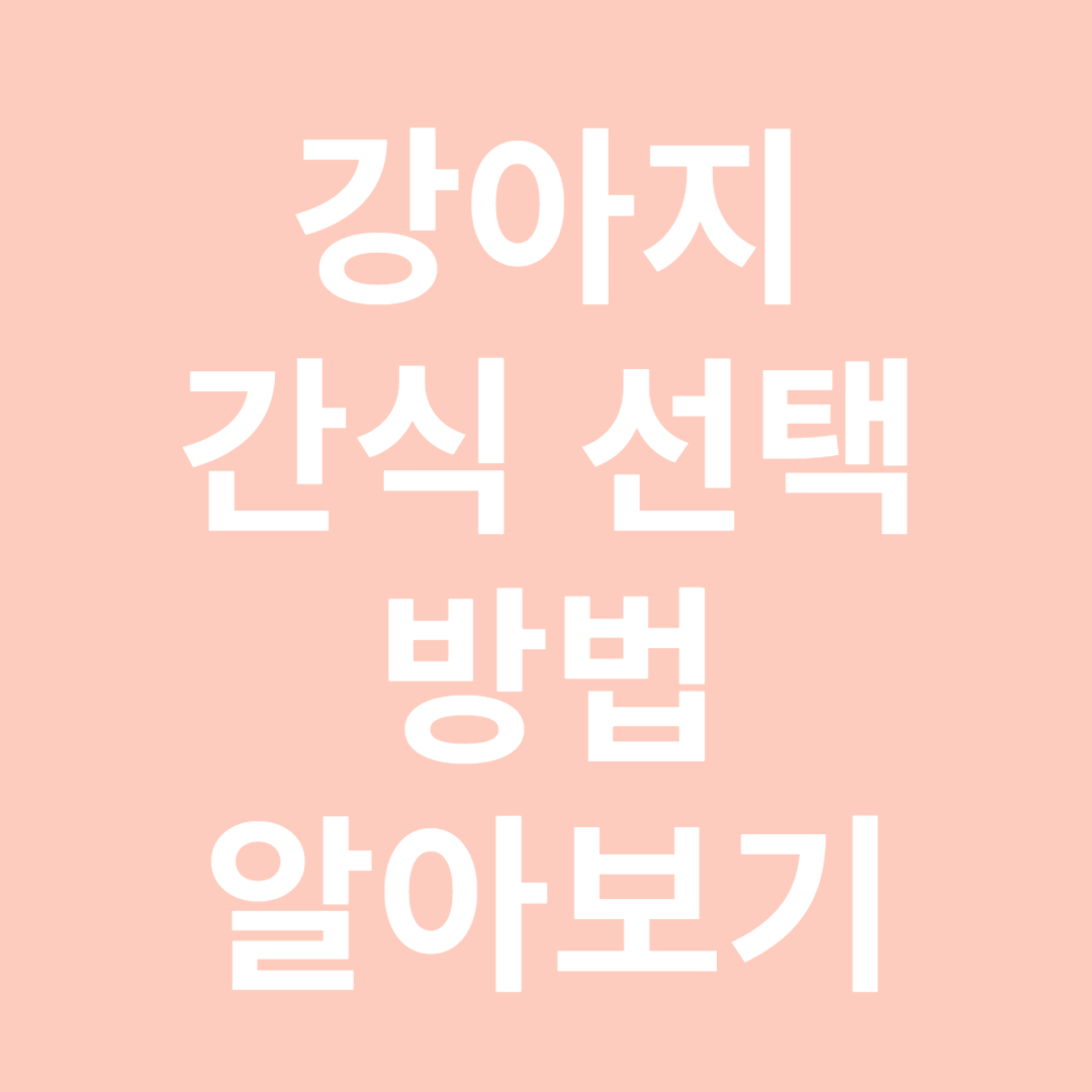 강아지 간식 선택 기준 및 방법 알아보기