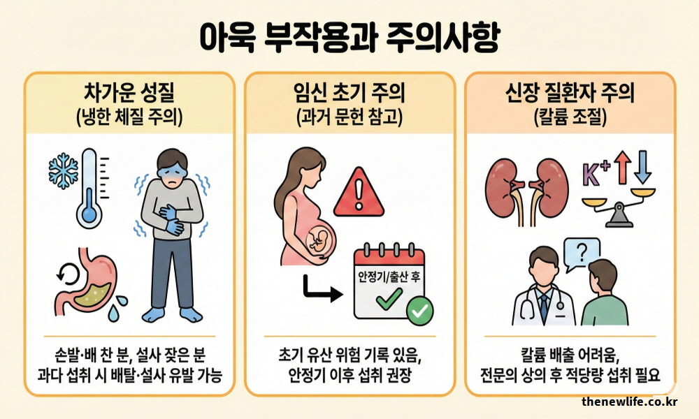아욱의 차가운 성질로 인한 배탈 가능성, 임신 초기 유산 위험에 대한 문헌 기록, 신장 질환자의 칼륨 섭취 주의를 경고 아이콘으로 알기 쉽게 정리한 인포그래픽