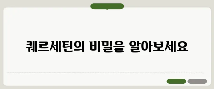 퀘르세틴 효능 항염작용으로 인기 폭발