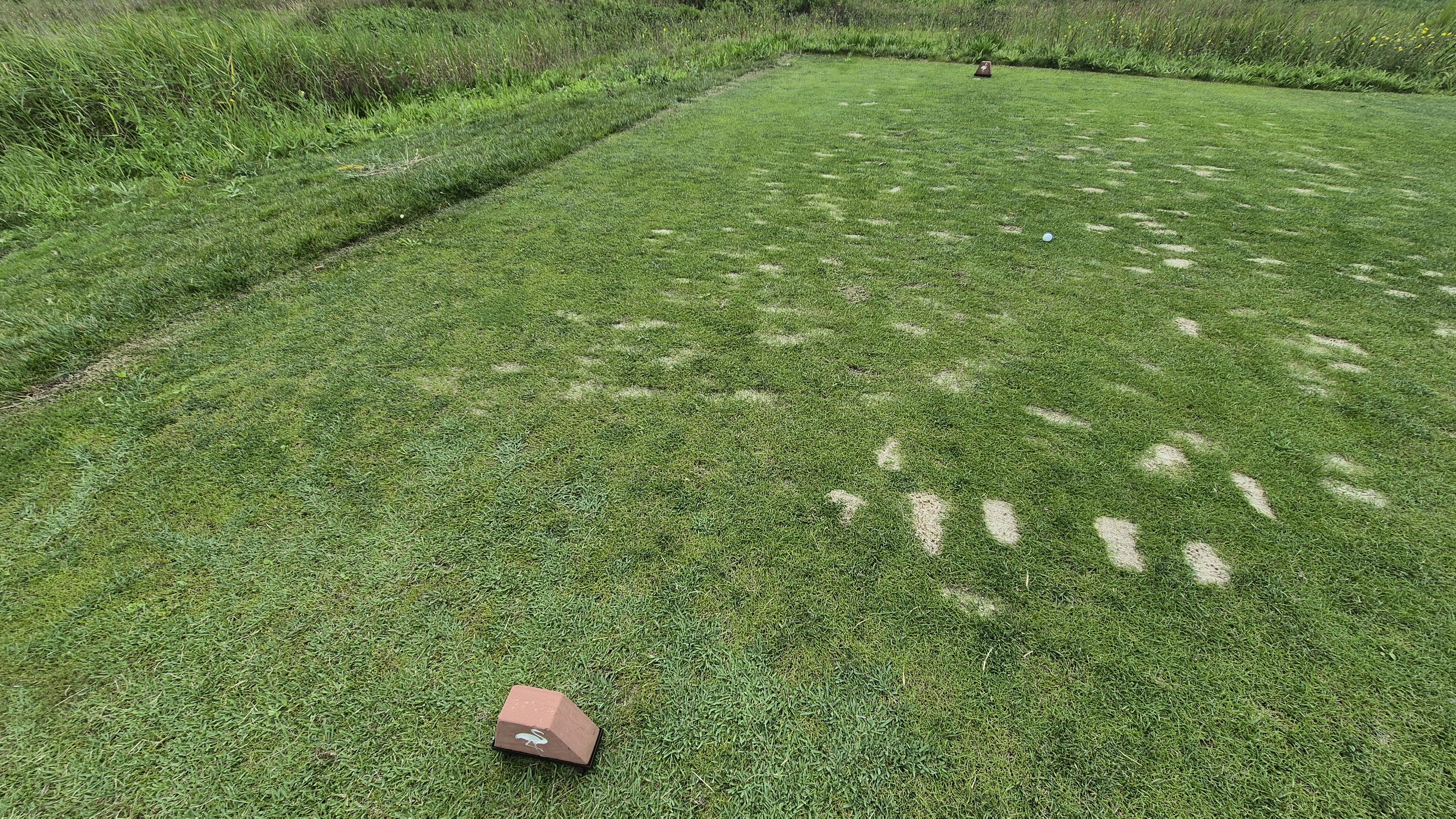 플라밍고cc 듄스-링크스 코스 라운드 후기