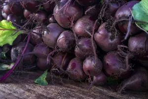 췌장암에 좋은 음식