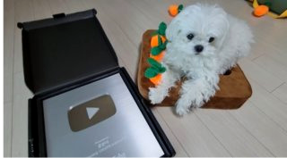 구성환 꽃분이 나이 프로필 사망 나혼산 국토대장정