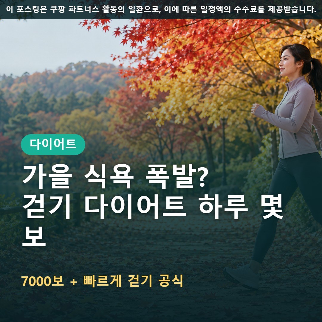 가을 식욕 폭발 걷기 다이어트, 하루 몇 보 걸어야 살이 빠질까