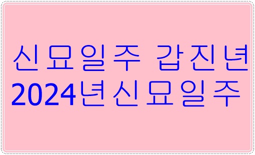 신묘일주