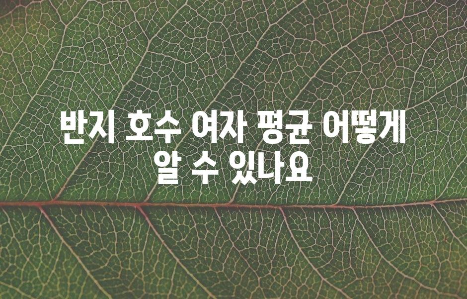 샘플 (43)