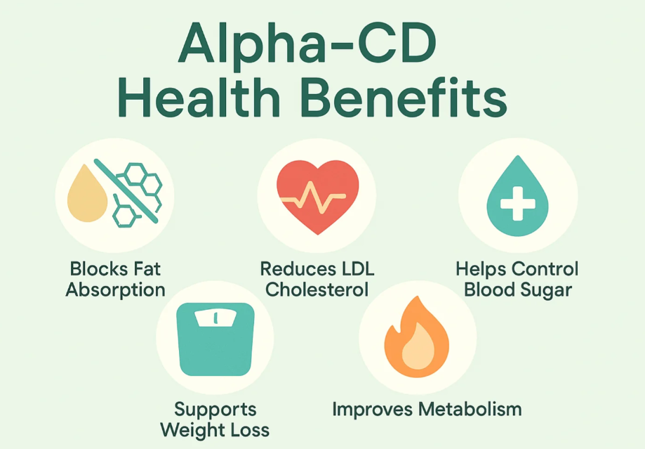 알파CD 효능 및 제품 추천
