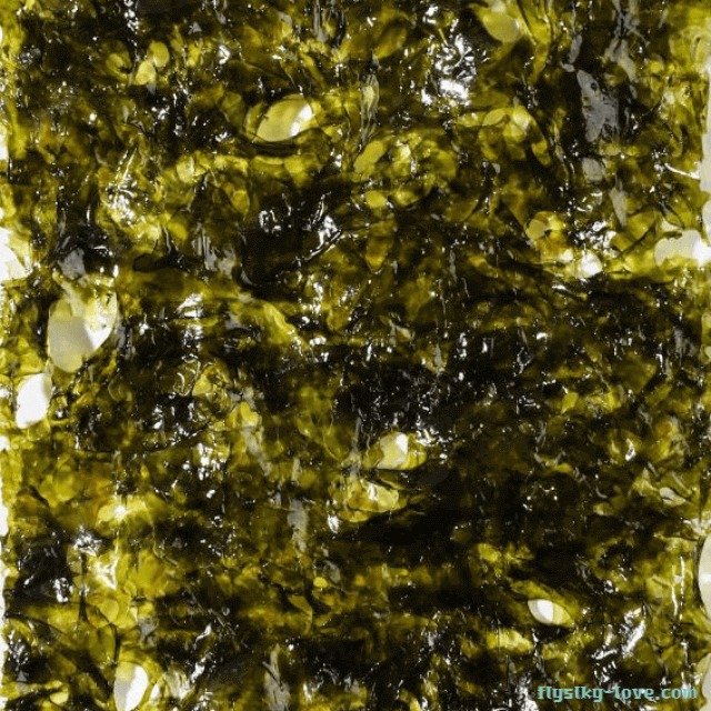 맛과 영양이 탁월한 파래김