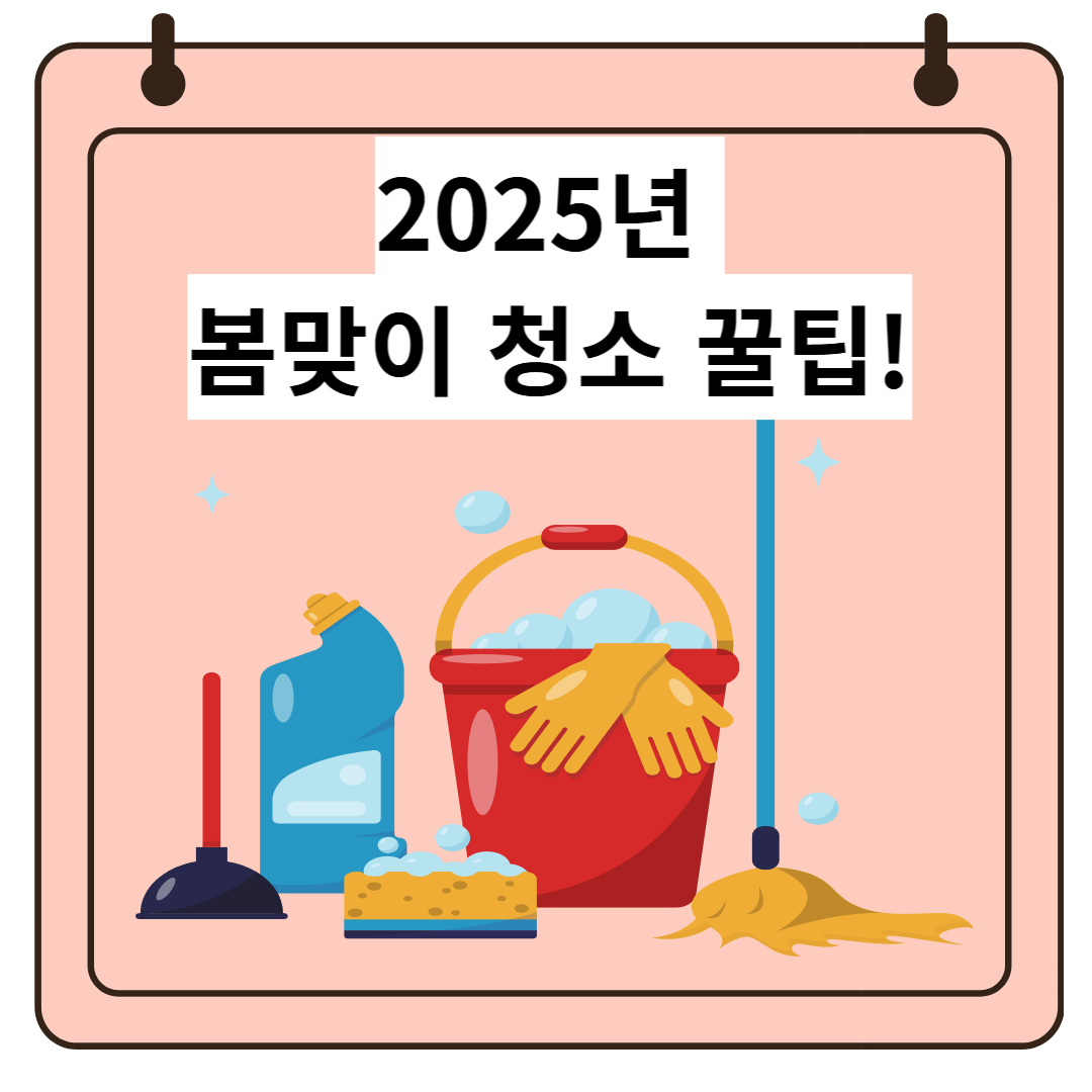 봄맞이 대청소 완벽 가이드 🌿 집안 구석구석 깔끔하게 정리하는 법