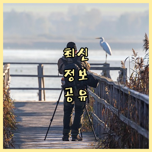 청량리동 재활용 쓰레기, 헷갈림 없이..