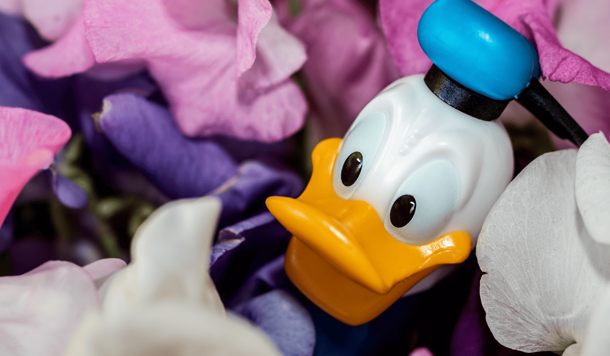 디즈니_플러스_해지_4