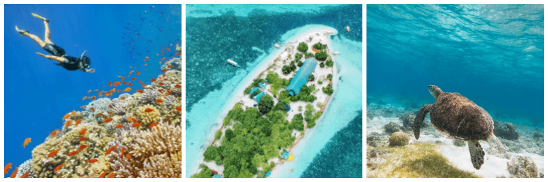 스노쿨링, 보홀 섬 사진