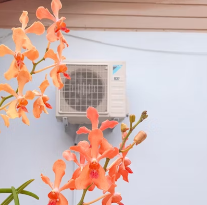 가정용 업소용 에어컨 청소비용 비교