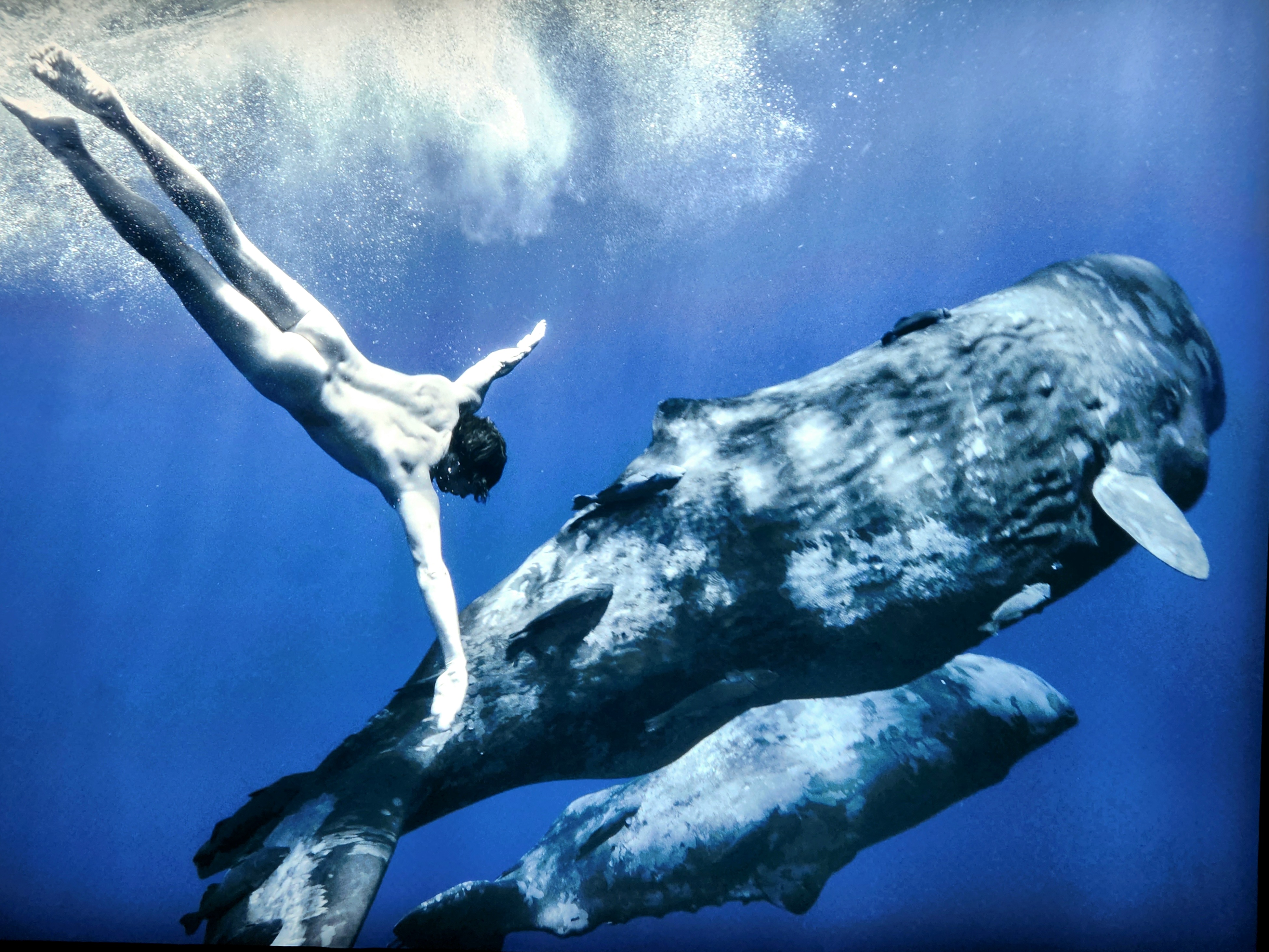 서울 전시회 나탈리 카르푸센코