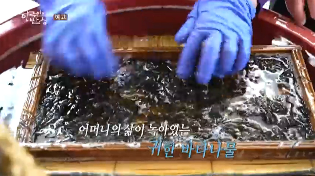 한국인의밥상 강릉시 강동면 봄바다 고르매나물